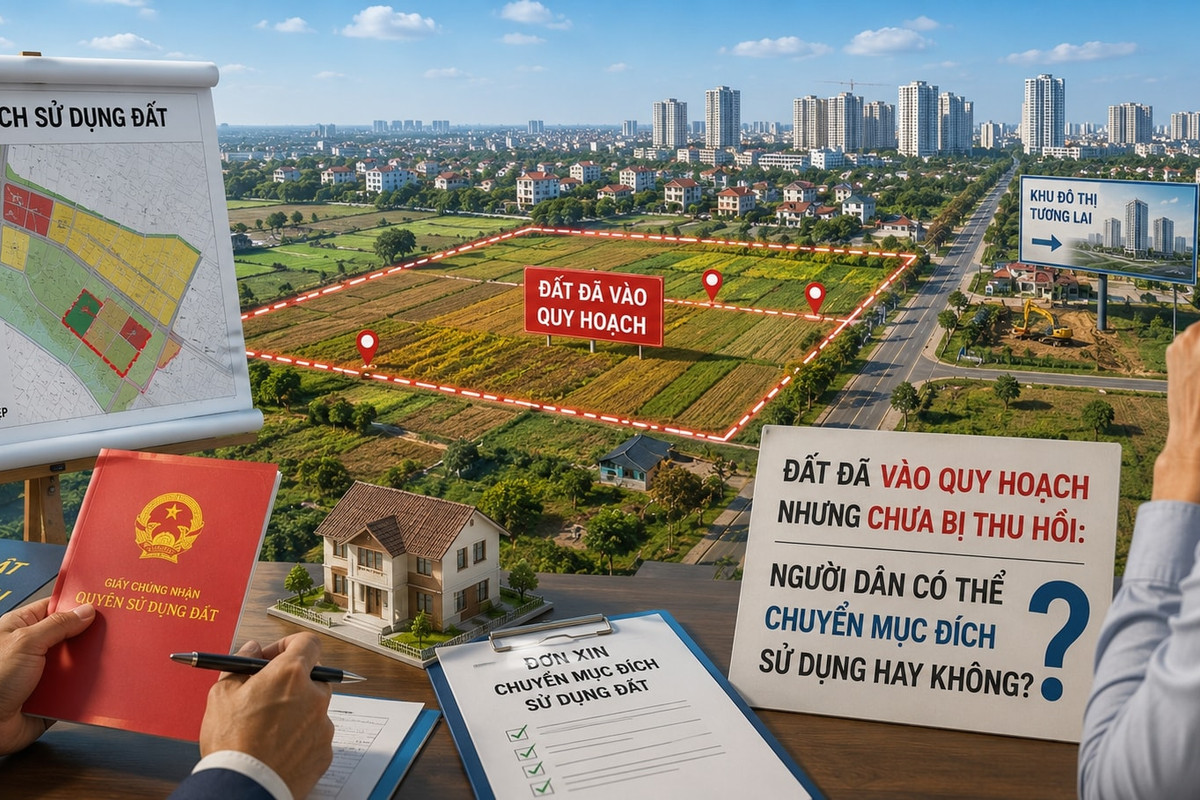 Những Lưu Ý Quan Trọng Để Tránh Rủi Ro Khi Tra Cứu Quy Hoạch Đất Đai