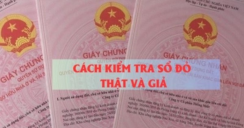 Kiểm tra kỹ lưỡng Sổ đỏ giúp nhà đầu tư tránh rủi ro pháp lý và tổn thất tài chính lớn.